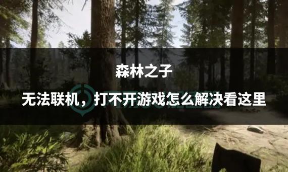 电脑不能联机游戏