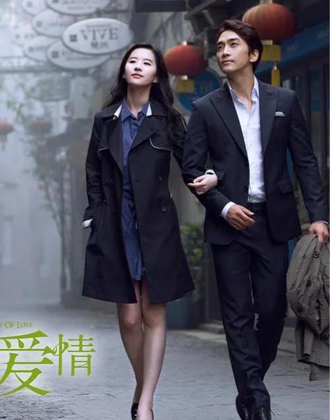 宋承宪刘亦菲电影第三种爱情