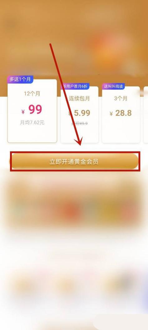 开通小度的VIP会员步骤