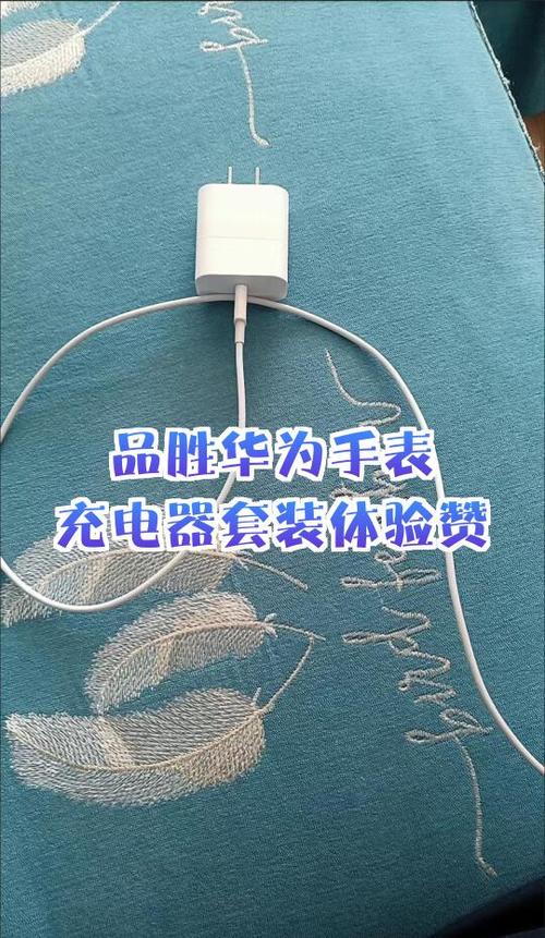 手表充电器丢了怎么办