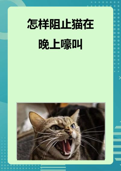 如何快速让猫不叫