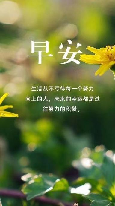 清晨心语每日分享