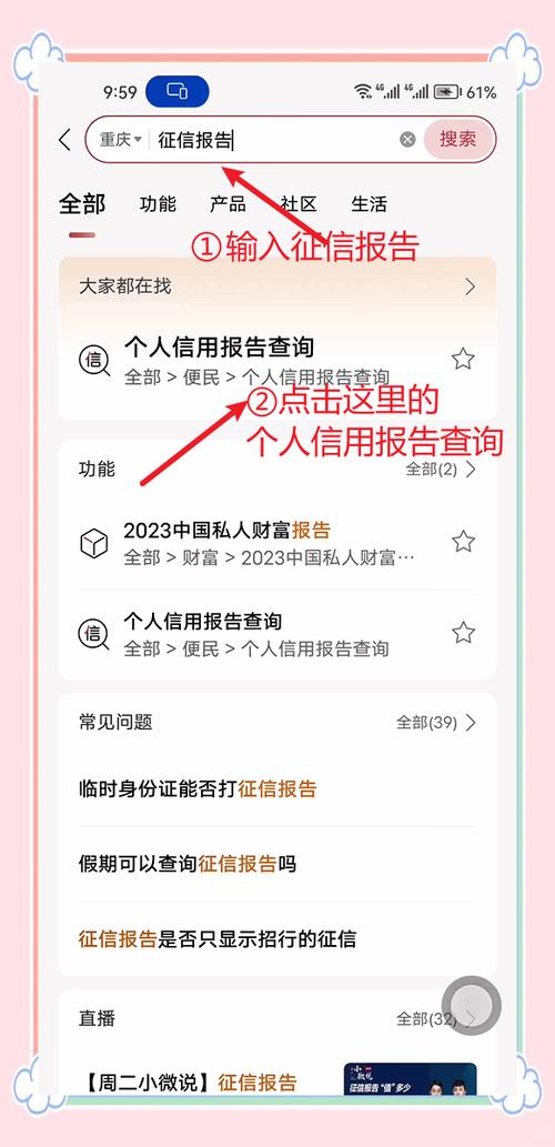什么软件可以查征信报告