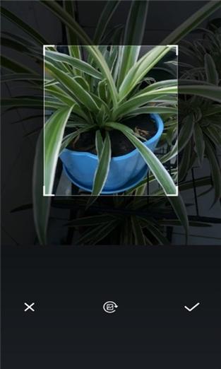 植物扫描软件截图