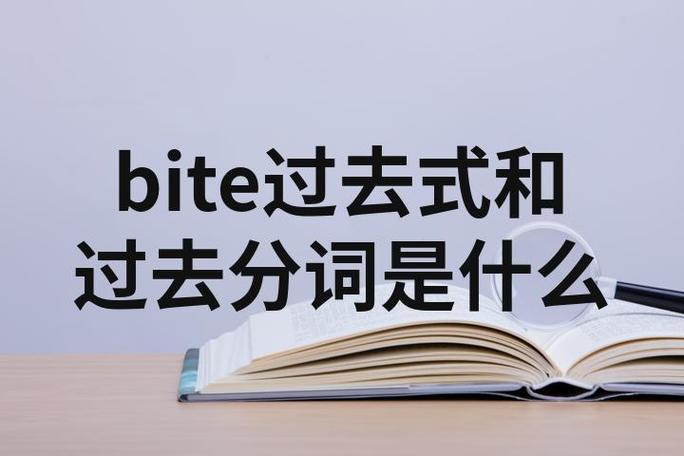 bite的过去和过去分词怎么读