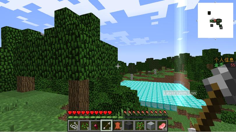 Minecraft樱花内网穿透