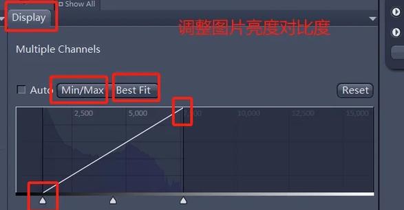 蔡司zen软件使用说明