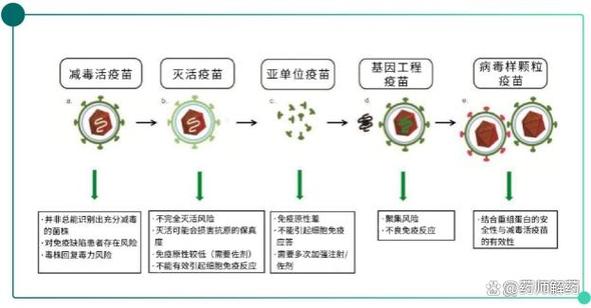 乙肝病毒体外多久失活