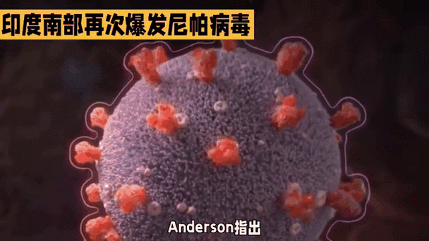 尼帕病毒