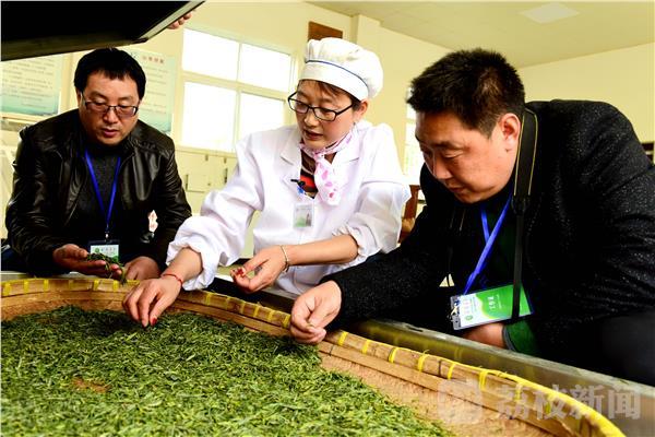 摘的茶叶然后怎么弄