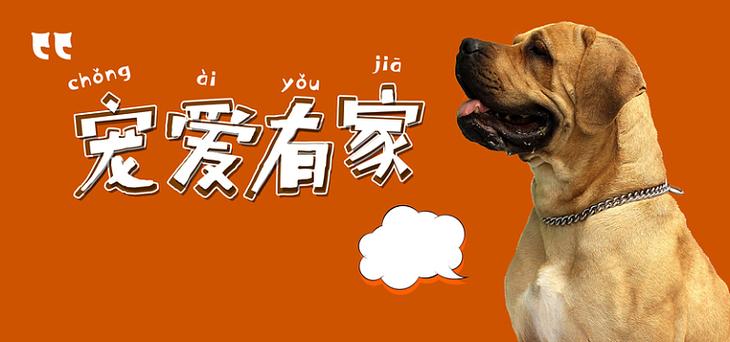 宠爱有家宠物店地址