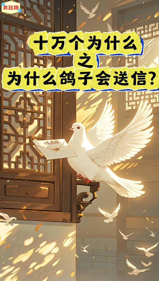 帮鸽子送完信 我知道