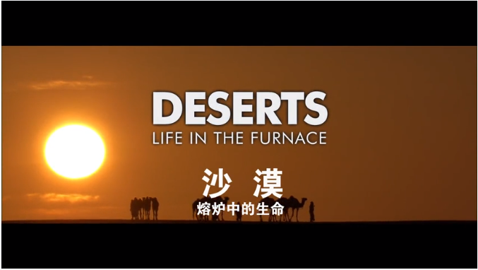 关于沙漠的纪录片缩略图
