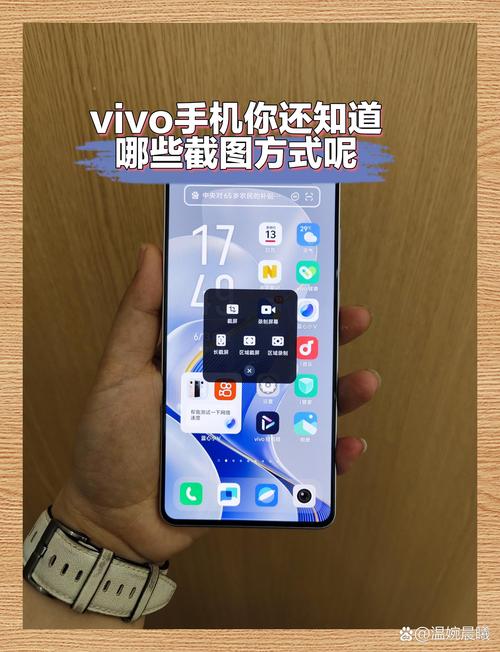 vivos50截图怎么用图标