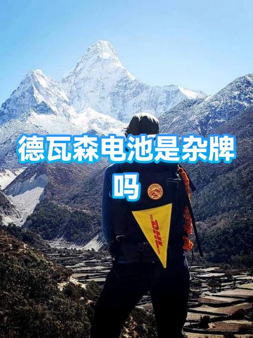 德瓦森电池