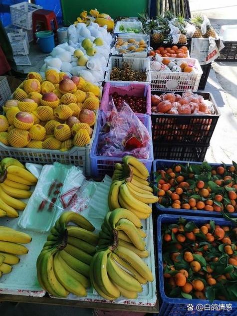 最新地摊卖水果顺口溜截图