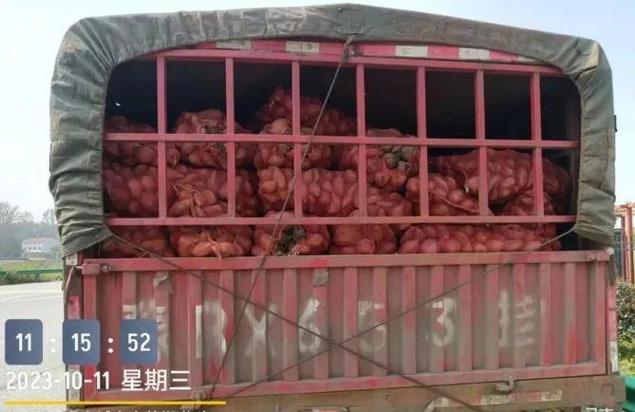 运输红薯走高速收费吗