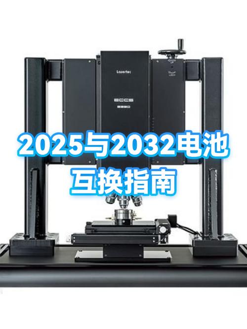 2025和2032电池的区别游戏截图