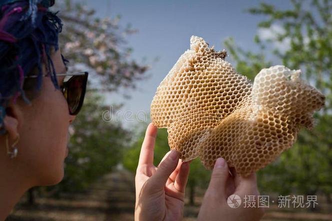 菜鸟驿站放蜂巢的规则缩略图