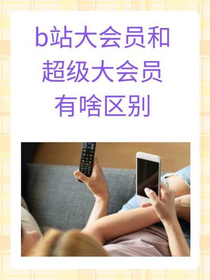 b站有几种会员