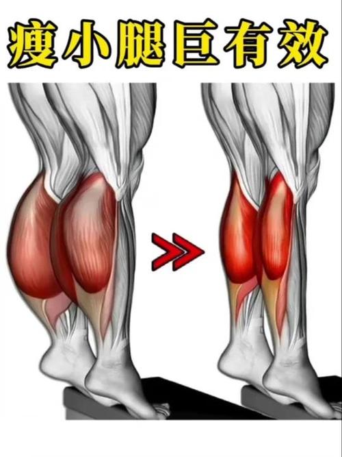 如何锻炼小腿肌肉增粗游戏截图