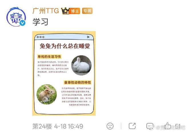 刚买的小兔子能吃胡萝卜吗缩略图