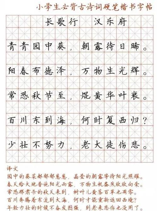 硬笔书法入门练字截图
