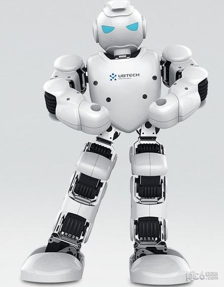 Robota机器人