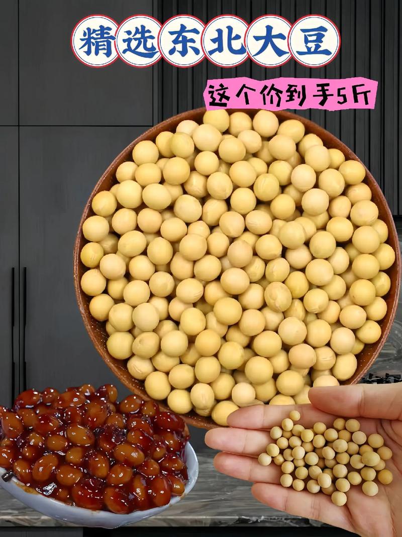小豆豆的大小是多少