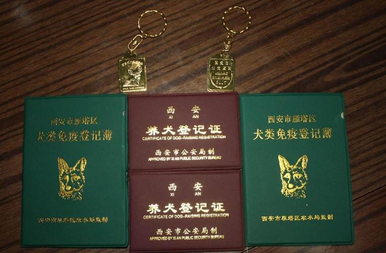 狗证2026年最新规定