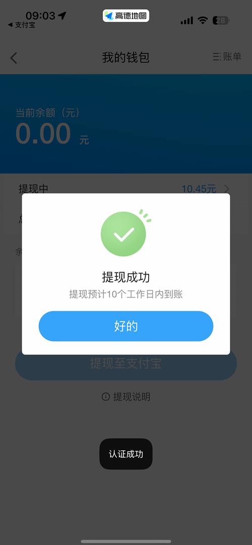 高德平台的提现时间截图