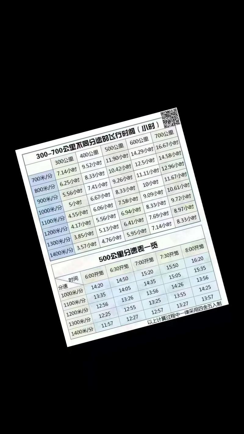 赛鸽限速设置怎么调