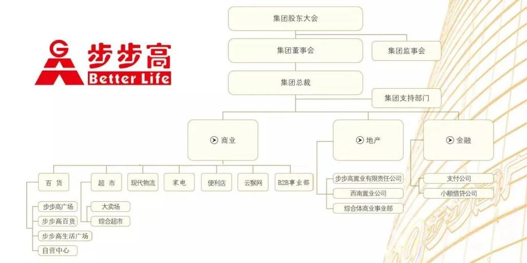 步步高旗下的三家公司截图