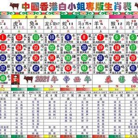 可以看每天生肖的日历