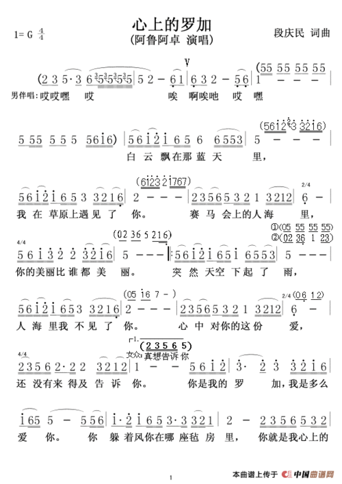 心上的罗加是什么意思缩略图