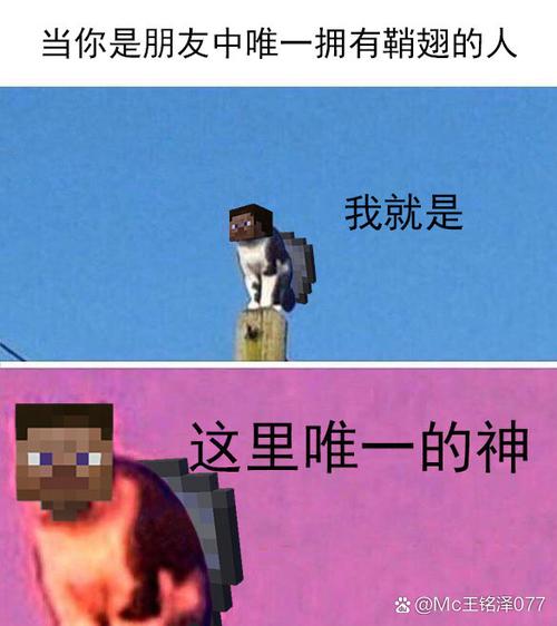 我的世界搞笑沙雕图