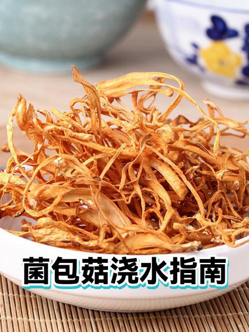 出菇浇水10个绝招