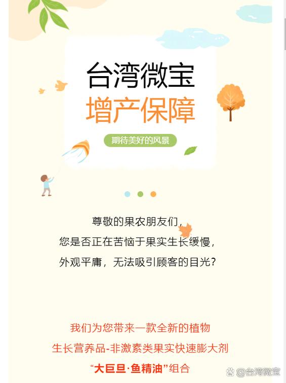 台湾微宝