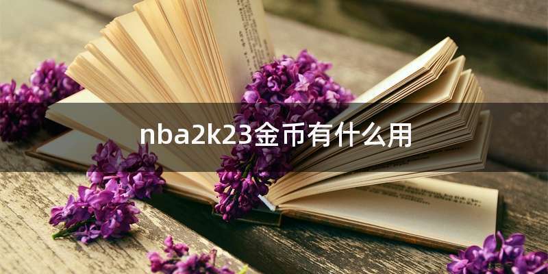 nba2k金币有什么用截图