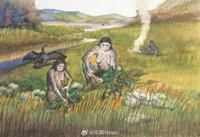 人类繁衍后代照片