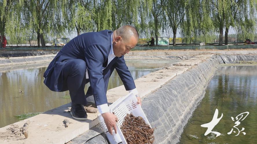 养虾一亩一年一般赚多少