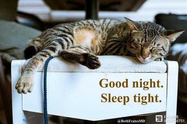 sleep tight怎么读