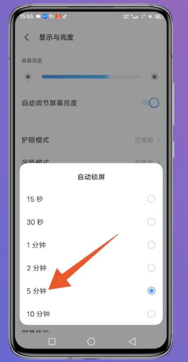 如何关闭ipad自动亮屏功能