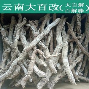 大百解草药图片