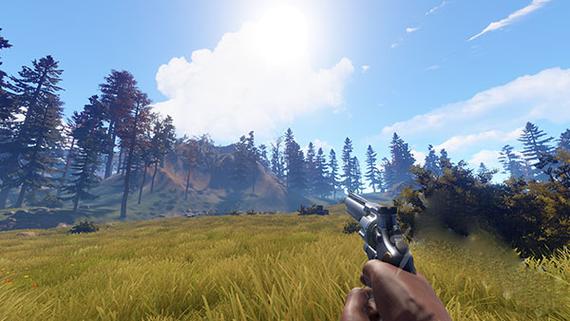rust mobile