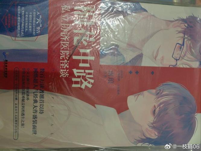 原耽实体书哪家是正版游戏截图