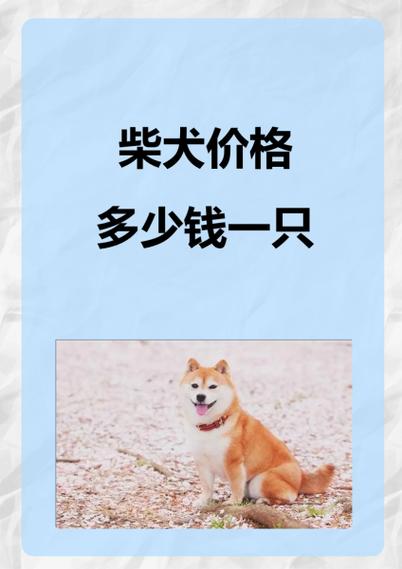 微信二狗多少钱一只