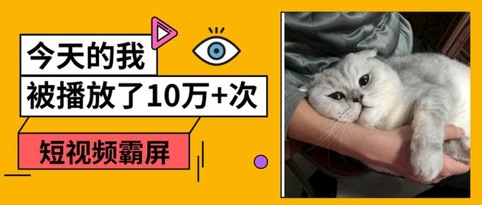 短视频霸屏