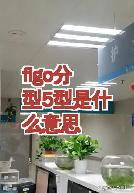 figo分型4型5型6型啥意思