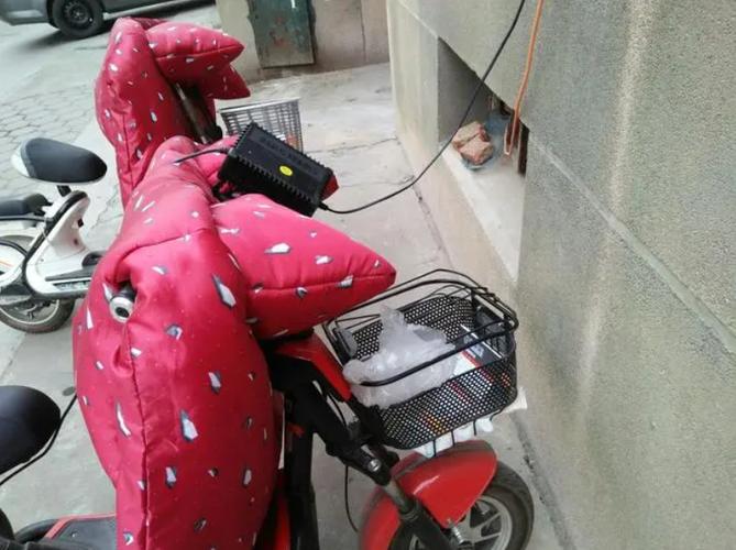 新电动车有两根线没插